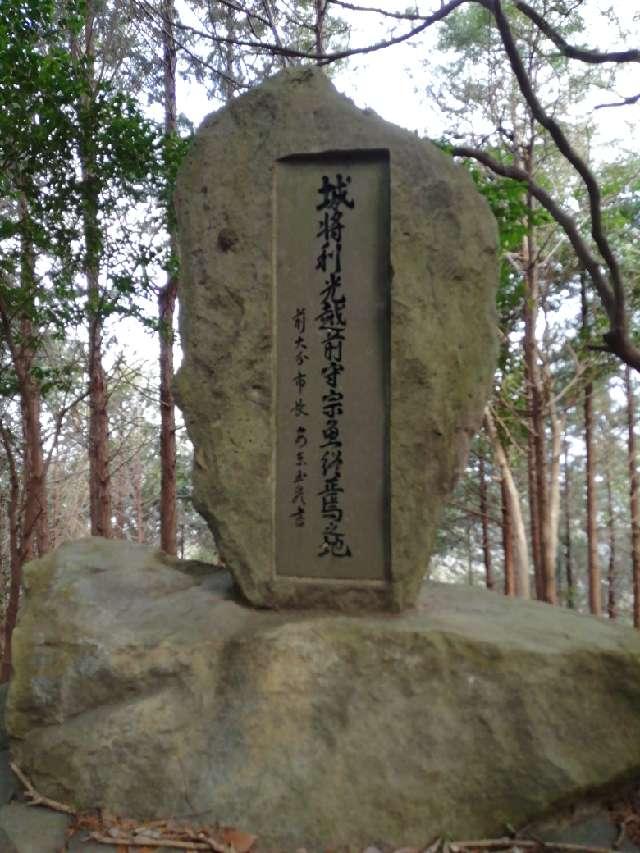 大分県大分市大字竹中3342 鏡城の写真5