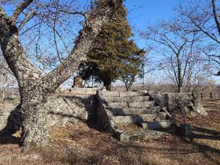 三春城の登城記録(syuさん)