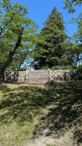 三春城の登城記録(ニャン川さん)