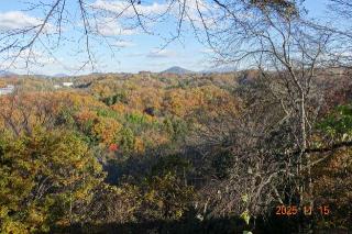 三春城の登城記録(はたしんさん)