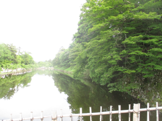彦根城（金亀城）の登城記録(しんちゃんさん)