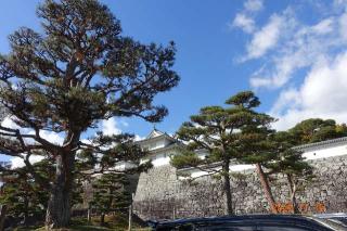 二本松城の登城記録(はたしんさん)