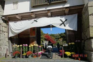 二本松城の登城記録(はたしんさん)