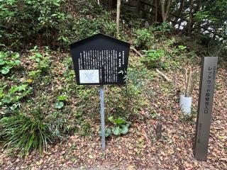 姫倉城の登城記録(テッチンさん)