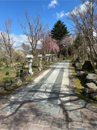 三芦城の登城記録(清正さん)