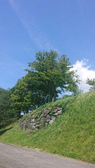 小浜城の登城記録(マリリさん)