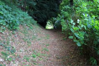 山上城の登城記録(こにーさん)