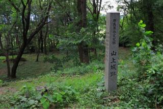 山上城の登城記録(こにーさん)