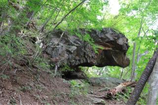 柳沢城の登城記録(こにーさん)