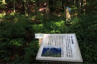 丸岩城の登城記録(こにーさん)