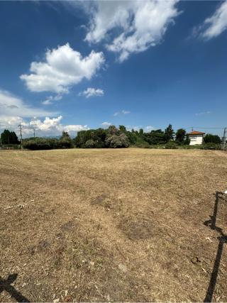 蒼海城の登城記録(清正さん)