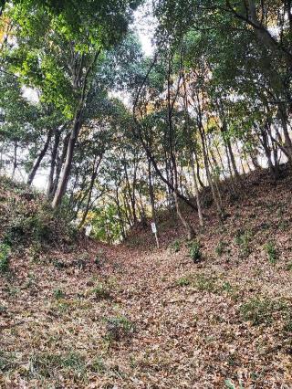 寺尾茶臼山城の登城記録(マリリさん)