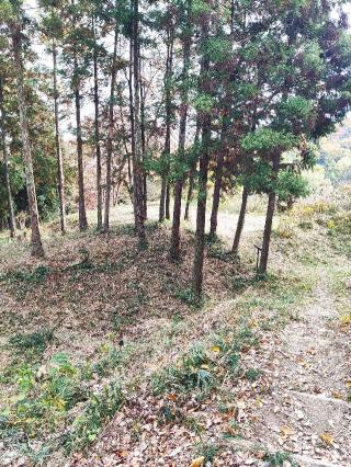 寺尾茶臼山城の登城記録(マリリさん)