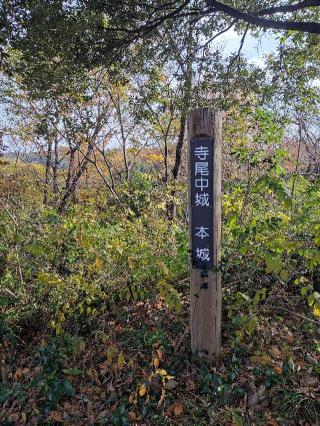 寺尾中城の登城記録(マリリさん)