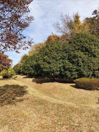 世良田館の登城記録(マリリさん)
