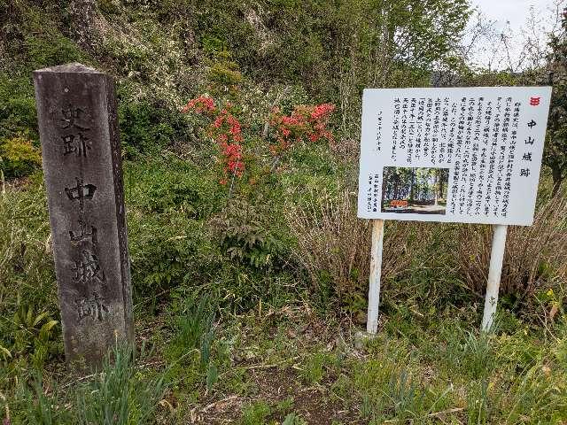 群馬県利根郡みなかみ町月夜野 小川城の写真1