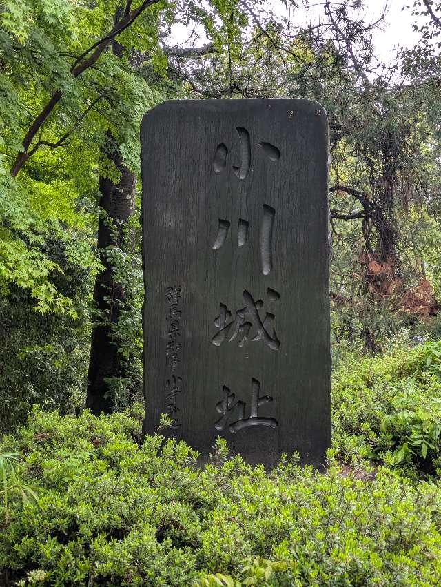 群馬県利根郡みなかみ町月夜野 小川城の写真2