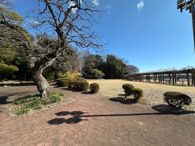 群馬県邑楽郡邑楽町大字鶉新田6-1 鶉古城の写真4