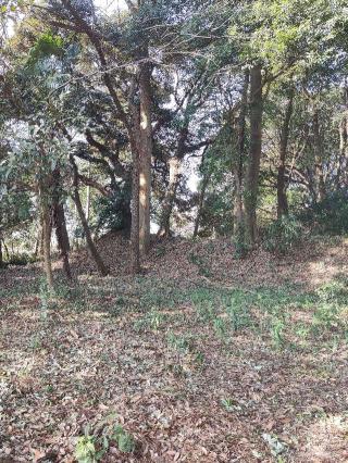 鶉古城の登城記録(マリリさん)