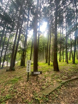 島崎城の登城記録(ひろさん)