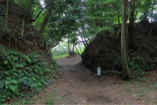 島崎城の登城記録(こにーさん)