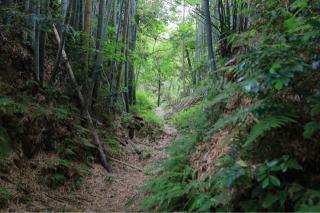 島崎城の登城記録(こにーさん)