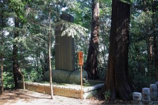 大宝城の登城記録(こにーさん)