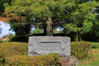 多賀谷城の登城記録(こにーさん)