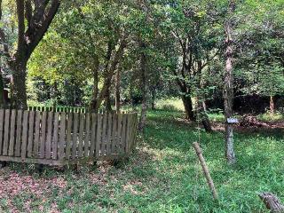 采女城の登城記録(まおたろーさん)