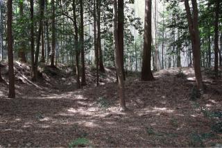 安濃城の登城記録(yasuさん)