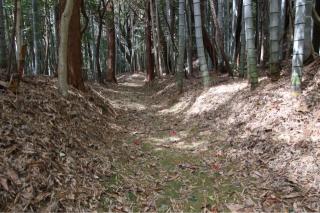 安濃城の登城記録(yasuさん)