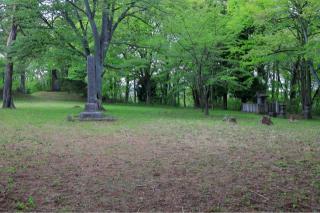 搦目城の登城記録(こにーさん)