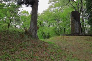 搦目城の登城記録(こにーさん)