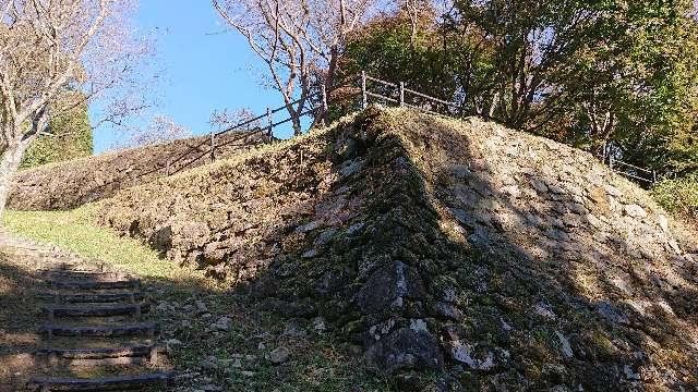 愛知県豊田市市場町675 市場城の写真2