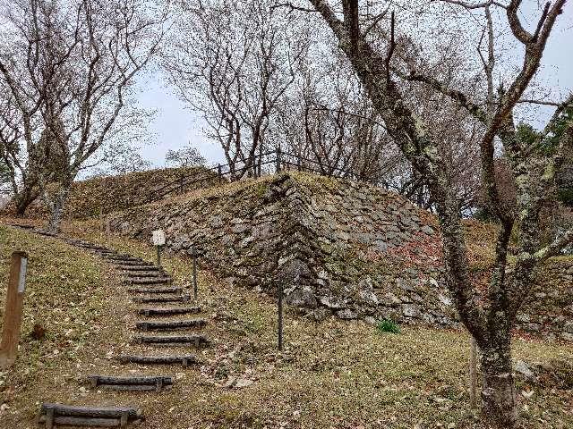 市場城の登城記録(本多百助さん)