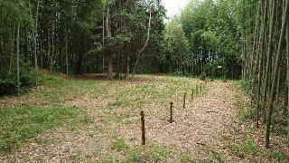 羽黒城の登城記録(オカドンさん)