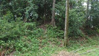 羽黒城の登城記録(オカドンさん)