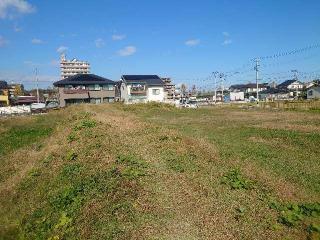 富沢館の登城記録(ジョウさん)