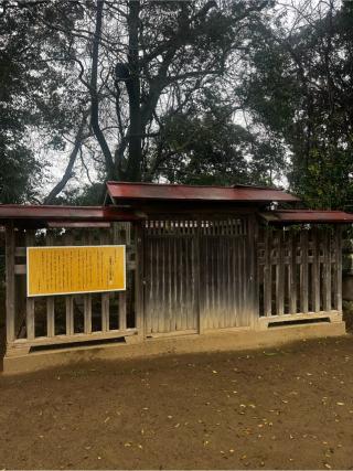 伊佐城の登城記録(やさかさん)