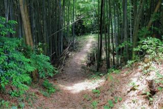 牛久城の登城記録(こにーさん)