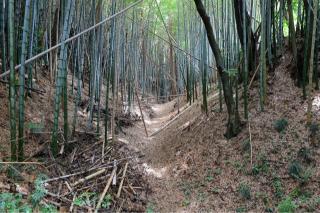 牛久城の登城記録(こにーさん)