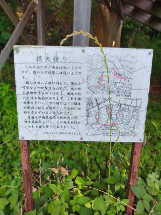 丸山城（糟屋城、千鳥ヶ城、糟屋氏館、糟屋左衛門尉有季居跡）の登城記録(マリリさん)