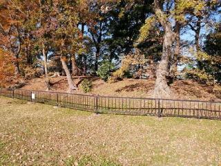 丸山城（糟屋城、千鳥ヶ城、糟屋氏館、糟屋左衛門尉有季居跡）の登城記録(けいいちさん)