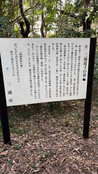 新井城（荒井城・小網代城・三崎城）の登城記録(みねさん)