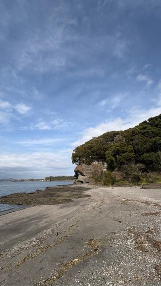 新井城（荒井城・小網代城・三崎城）の登城記録(みねさん)