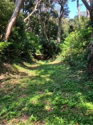 新井城（荒井城・小網代城・三崎城）の登城記録(監督さん)