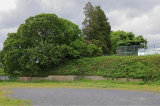 太田城の登城記録(こにーさん)