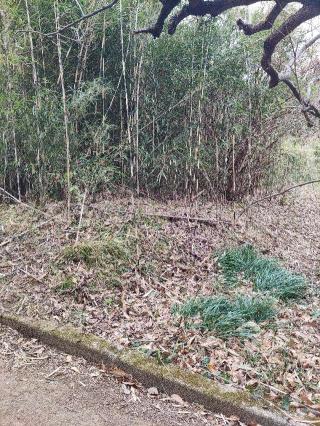 沼田城（沼田城山）の登城記録(マリリさん)