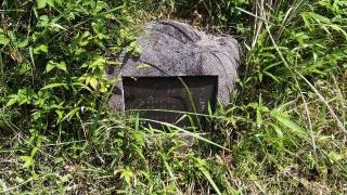 沼田城（沼田城山）の登城記録(けいいちさん)