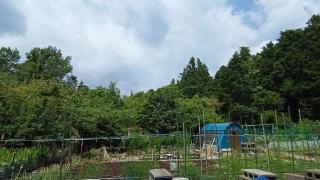 沼田城（沼田城山）の登城記録(けいいちさん)